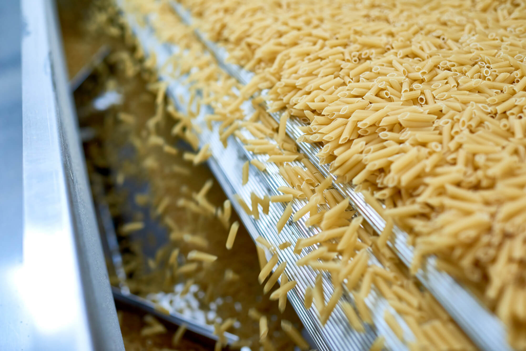 Raw penne pasta moving on a metal conveyor belt in a food processing plant.
