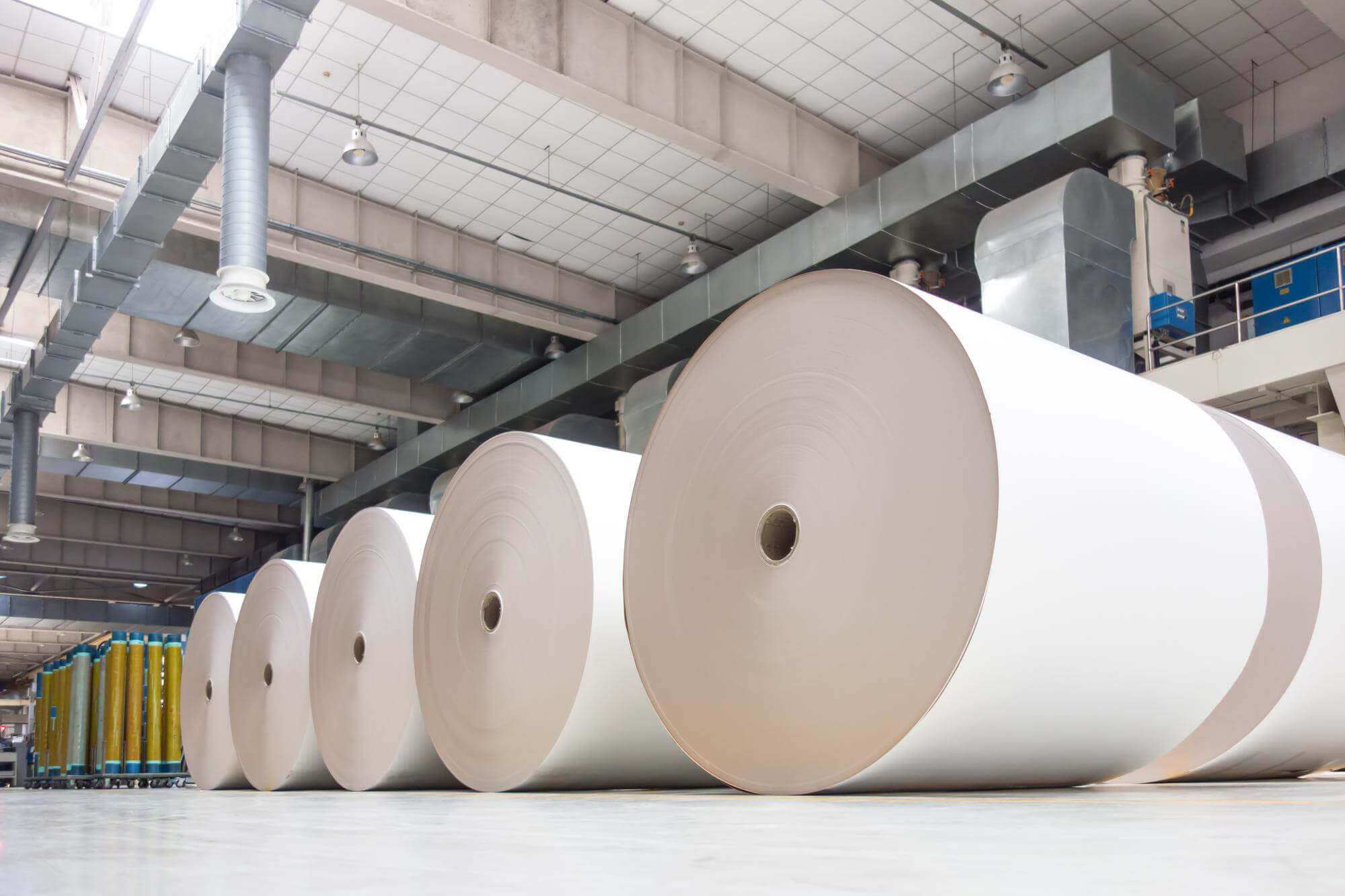 Large rolls of white industrial paper lined up inside a spacious manufacturing facility.