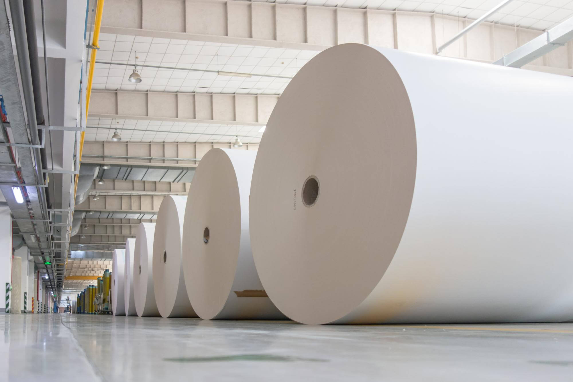 Large rolls of white paper lined up on the floor inside a spacious industrial warehouse.