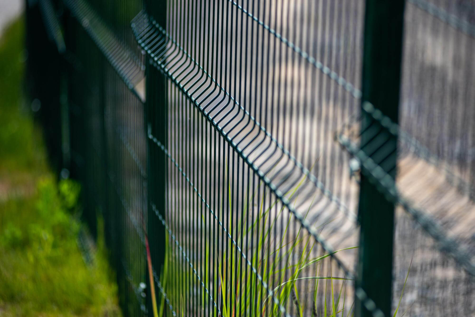 Close-up of a green metal wire fence with grass growing nearby.
