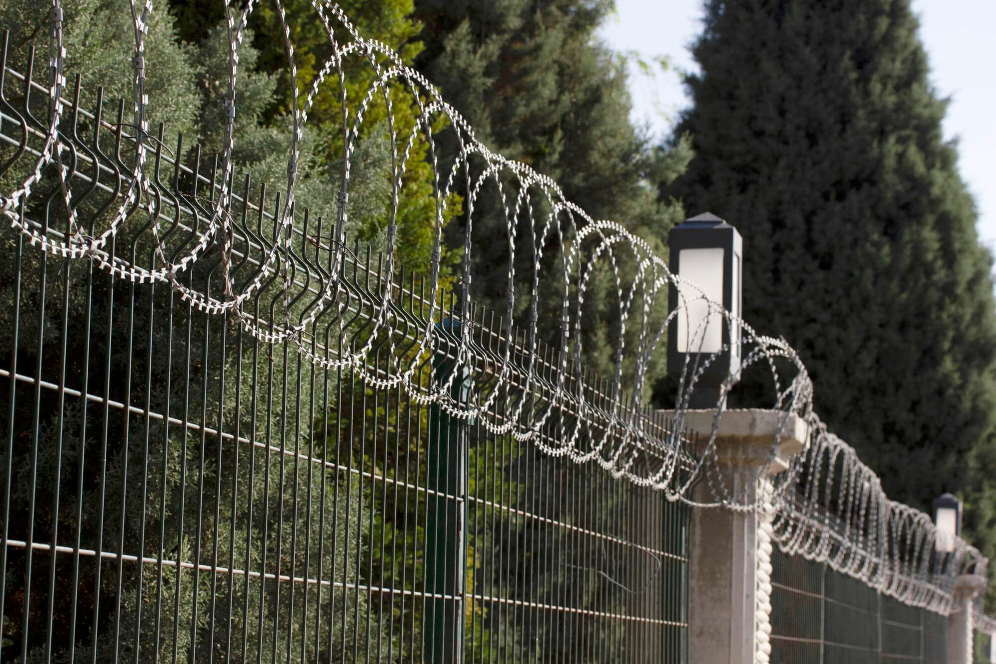 Metal fence topped with coiled razor wire loops with trees and lamp posts in the background.