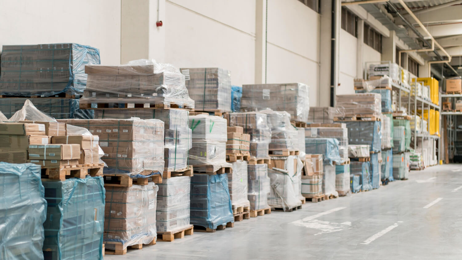 Warehouse interior with pallets stacked with boxes and wrapped in plastic along the aisle.